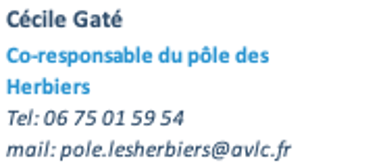 cécile