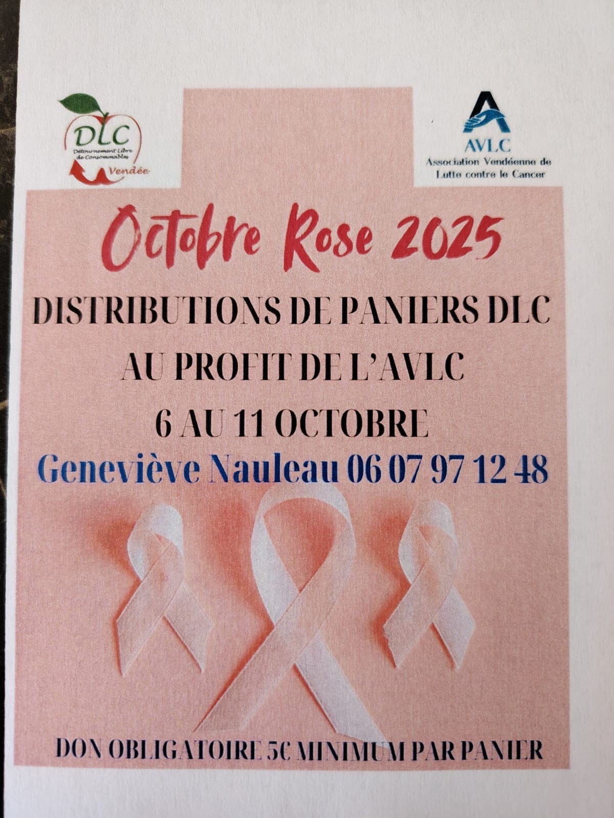 AVLC AFFICHE DLCa0e7-1a89-422a-8088-cf8aac367521